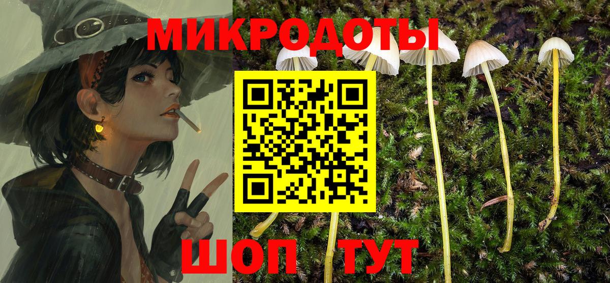Галлюциногенные грибы Cubensis Мытищи